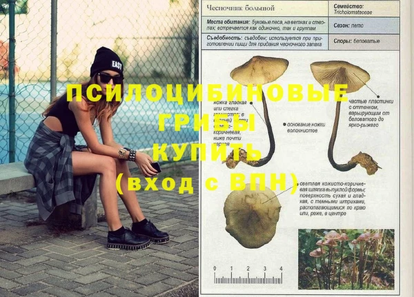 твердый Балабаново