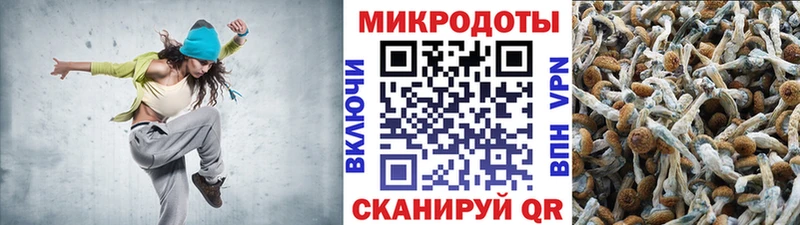 Галлюциногенные грибы мицелий  Бугульма 