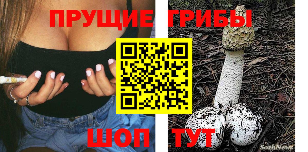 Галлюциногенные грибы GOLDEN TEACHER  Псилоцибиновые грибы Magic Shrooms  Бугульма  Вход с VPN 