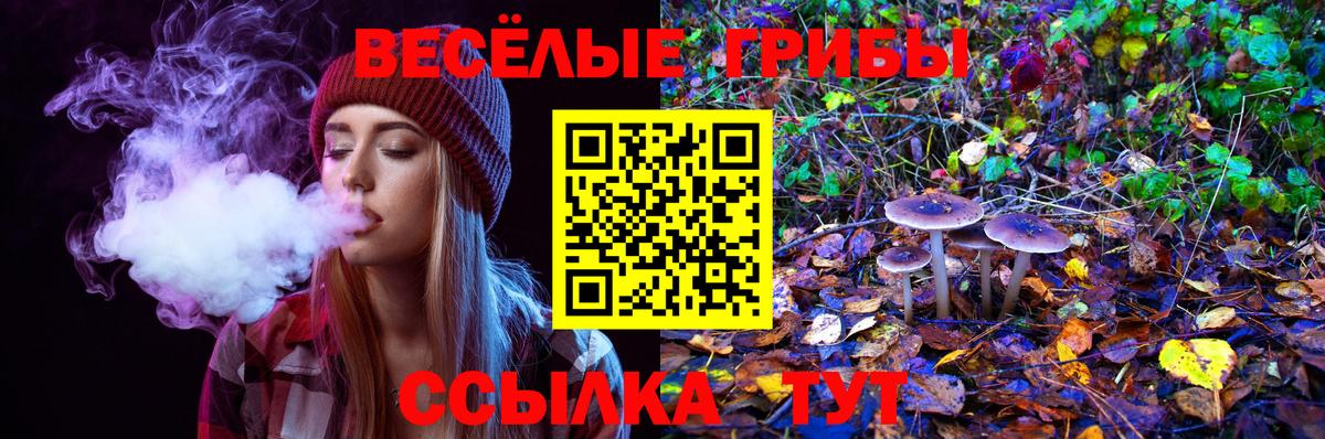 Псилоцибиновые грибы Magic Shrooms Бугульма